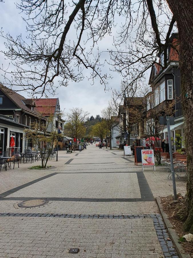 Apartment Am Bocksberg Goslar Eksteriør billede